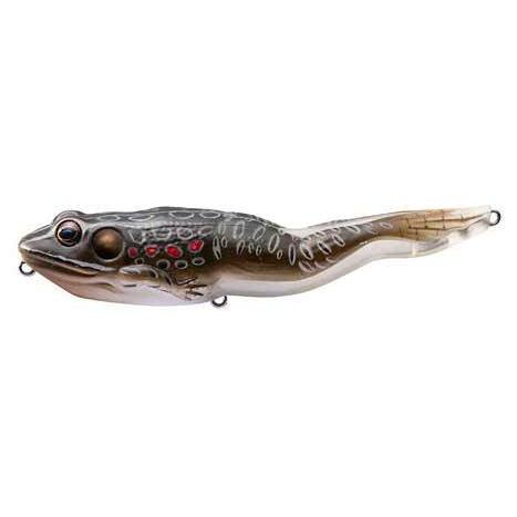 https://www.bassfishinghub.com/cdn/shop/products/koppers-walking-frog-4-1-8-5-8oz-yellow-black-frogs-live-target-baits_600x.jpg?v=1591240703